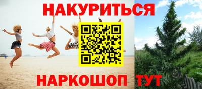 спиды Будённовск